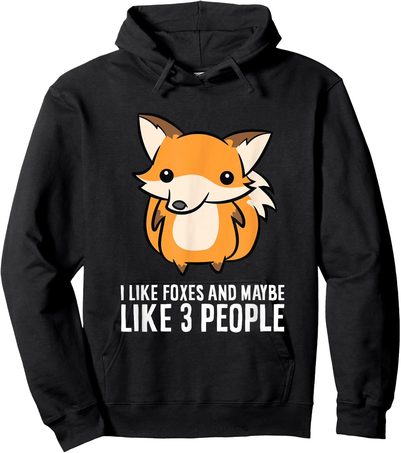 I Like Foxes And Maybe Like 3 People Hoodie - Hoodie | Black