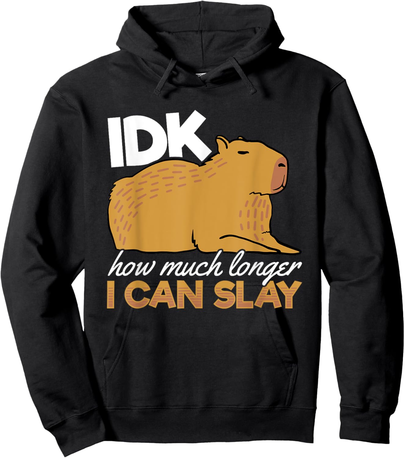 Capybara Animals Pet - idk How Much Longer I Can Slay Hoodie - Hoodie | Black