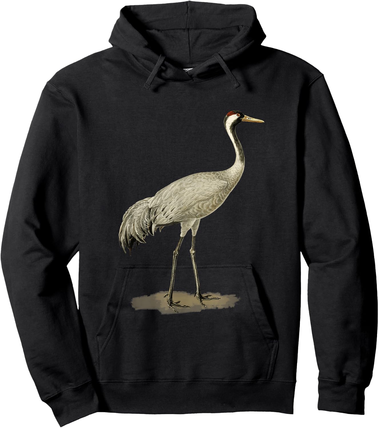 Sandhill Crane Antigone Canadensis Bird Refers North America Hoodie - Hoodie | Black