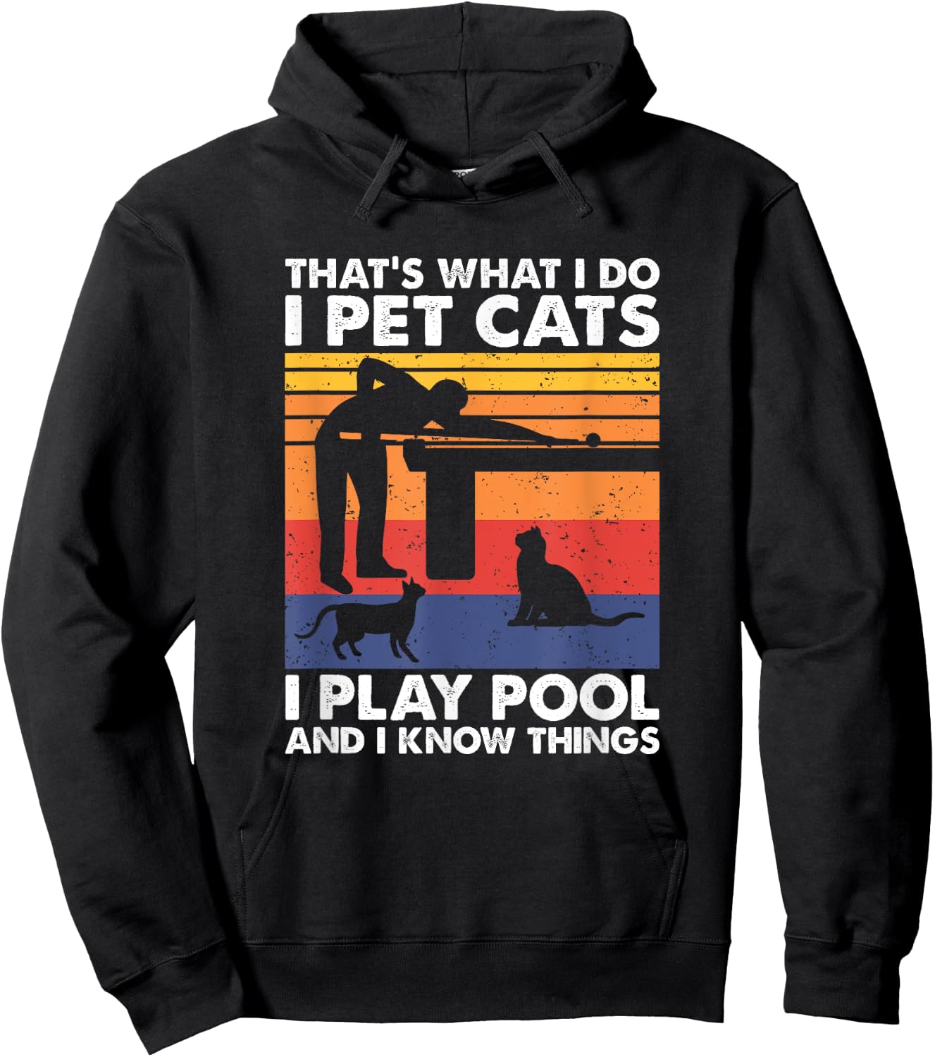 I Pet Cats I Play Pool And I Know Things, Billiards Hoodie - Hoodie | Black