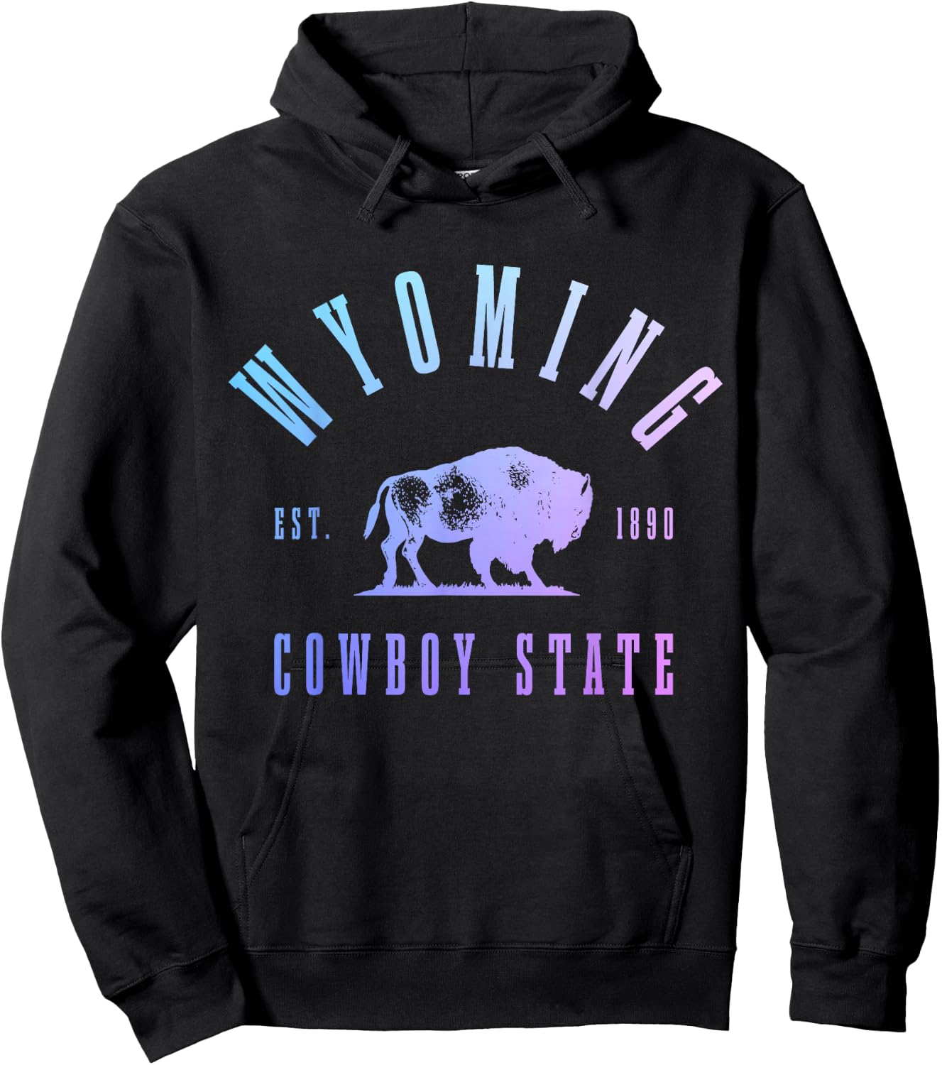 Wyoming, East. 1890 The Cowboy State Bison Vintage Pride Hoodie - Hoodie | Black