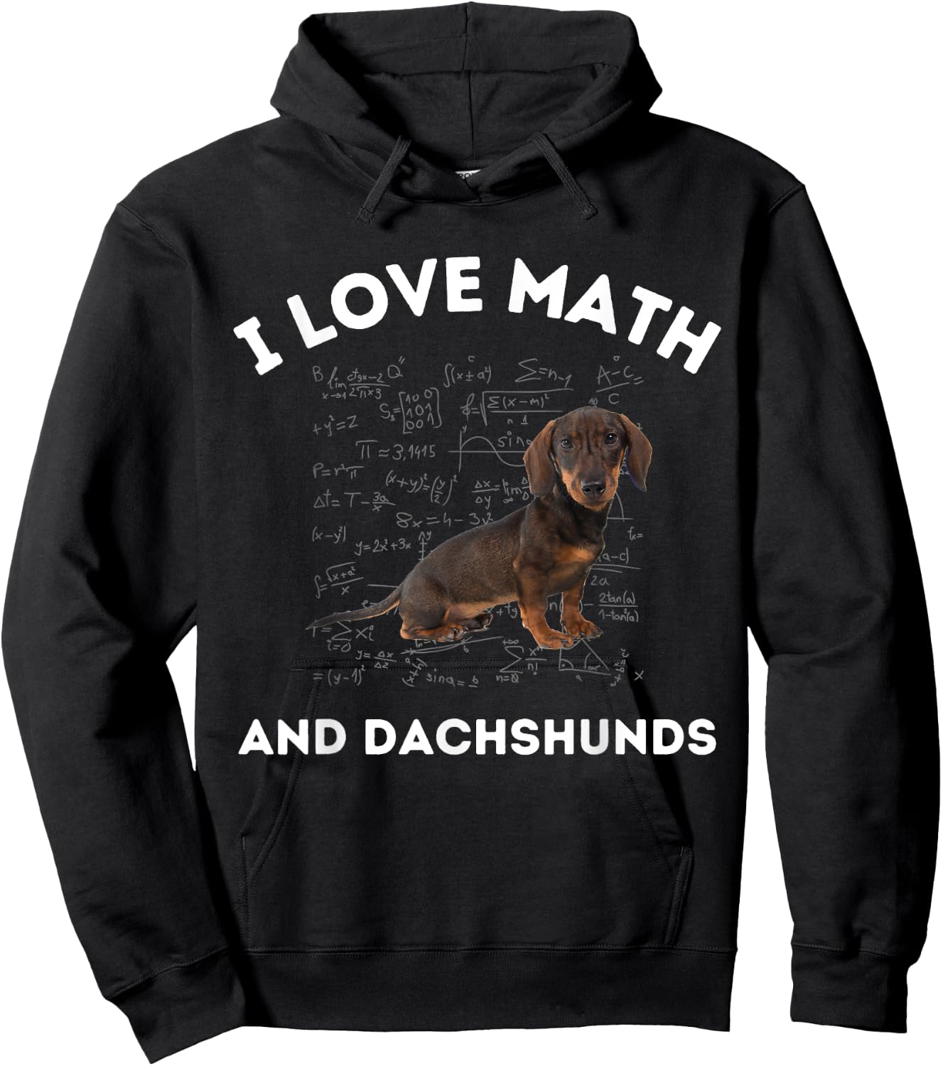 I Love Math and Dachshunds Dog Algebra Teacher Appreciation Men Women Girls Kids Hoodie - Hoodie | Black