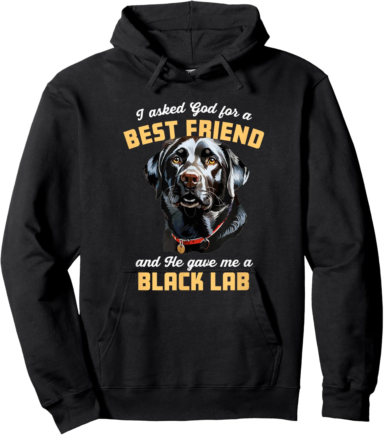 I Asked God For a Best Friend He Gave Me a Black Lab Dog Mom Men Women Girls Kids Hoodie - Hoodie | Black