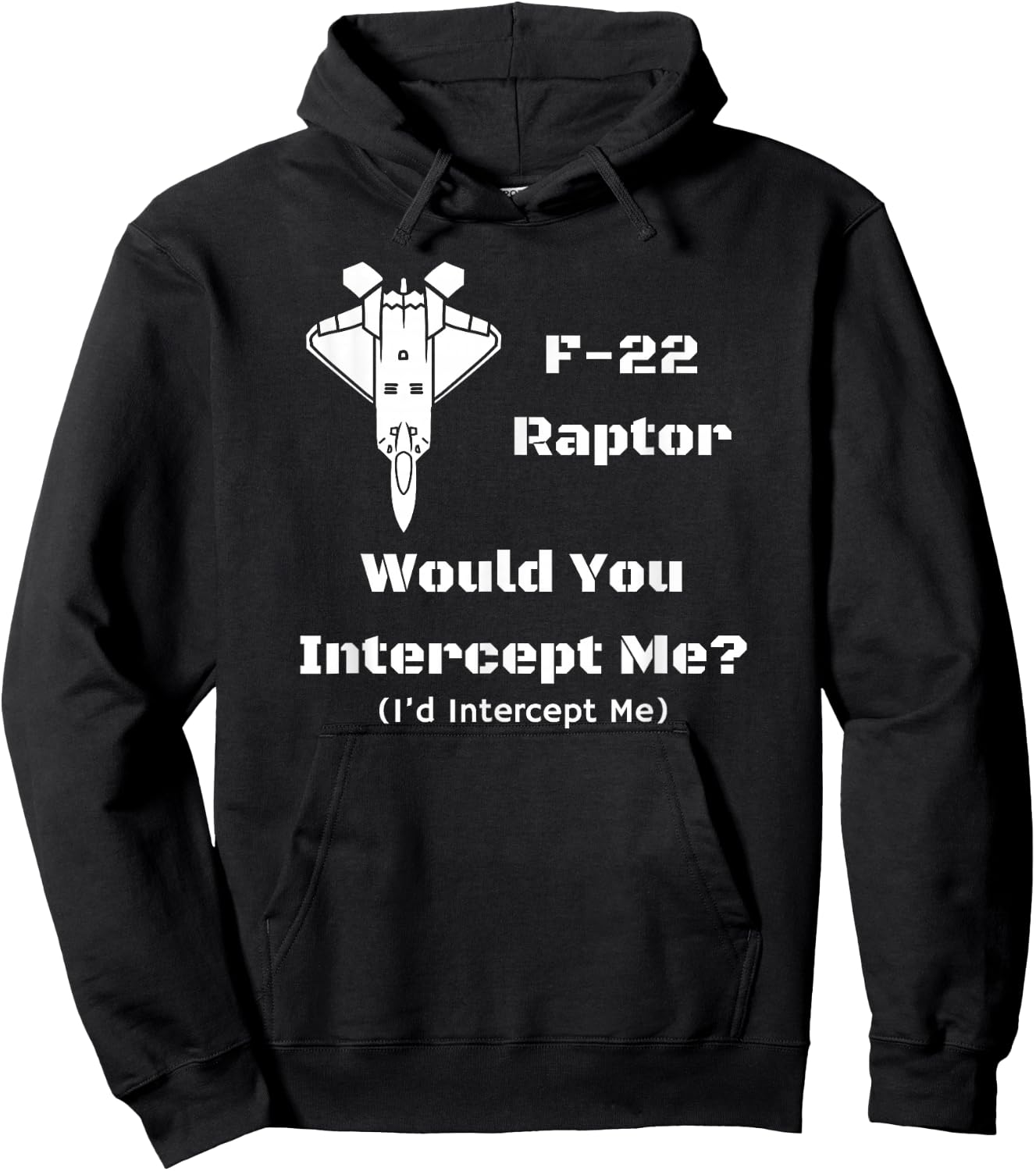 F-22: Would You Intercept Me? I'd Intercept Me! Hoodie - Hoodie | Black