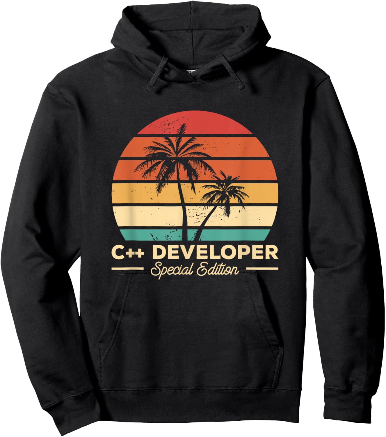 Vintage C++ Developer Programming Hoodie - Hoodie | Black