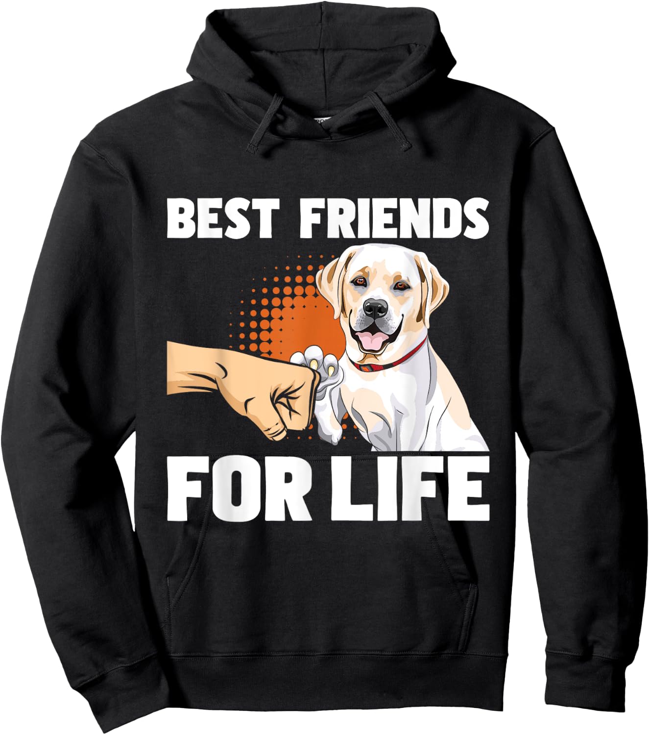 Funny Labrador Shirts Best Friends For Life - Labrador Lover Dog Trainer Pet Owner Hoodie - Hoodie | Black