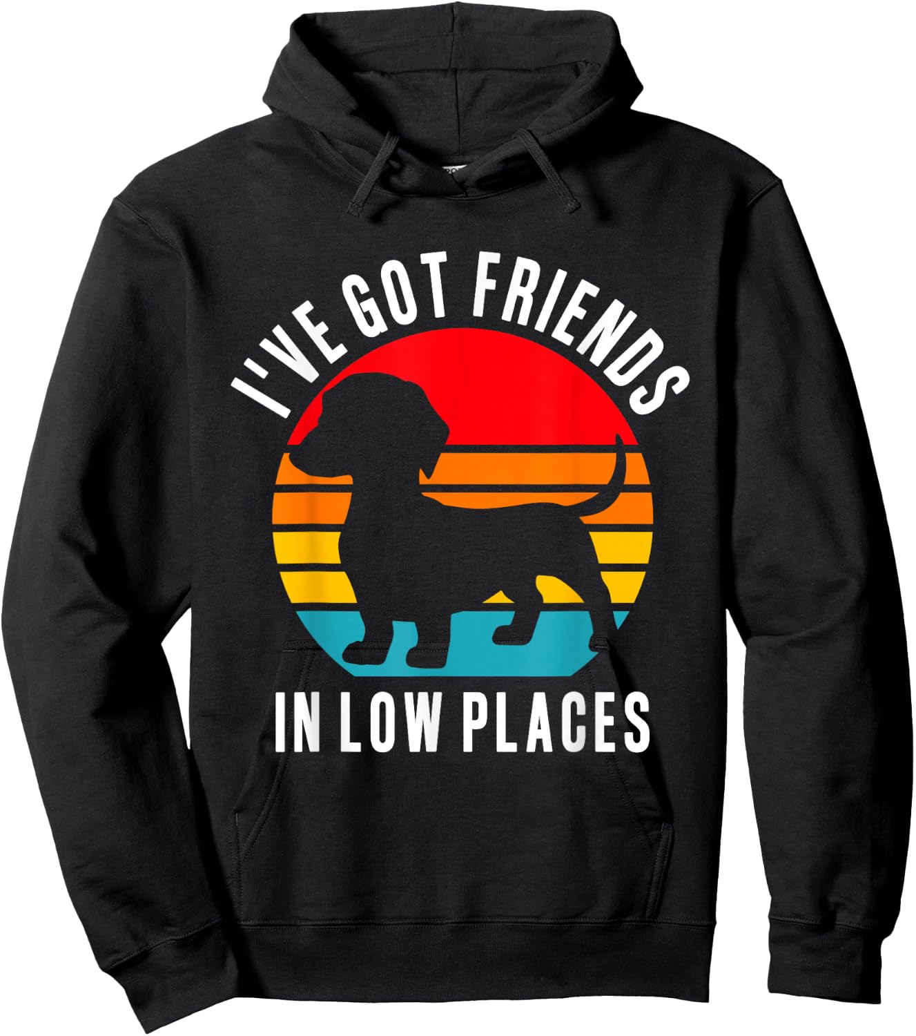Funny Wiener Dog Lover Dachshund Friends In Low Places Men Women Hoodie - Hoodie | Black