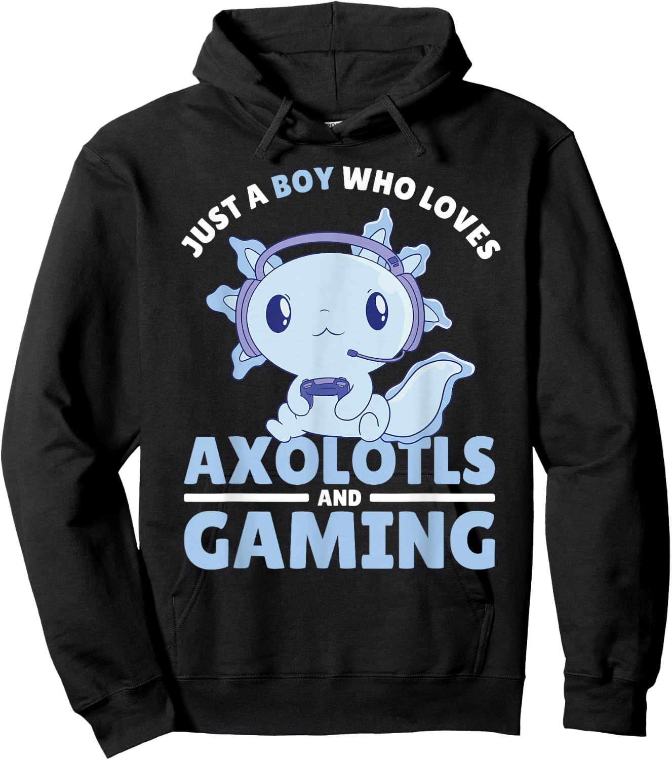 Just A Boy Who Loves Axolotls and Gaming Hoodie - Hoodie | Black
