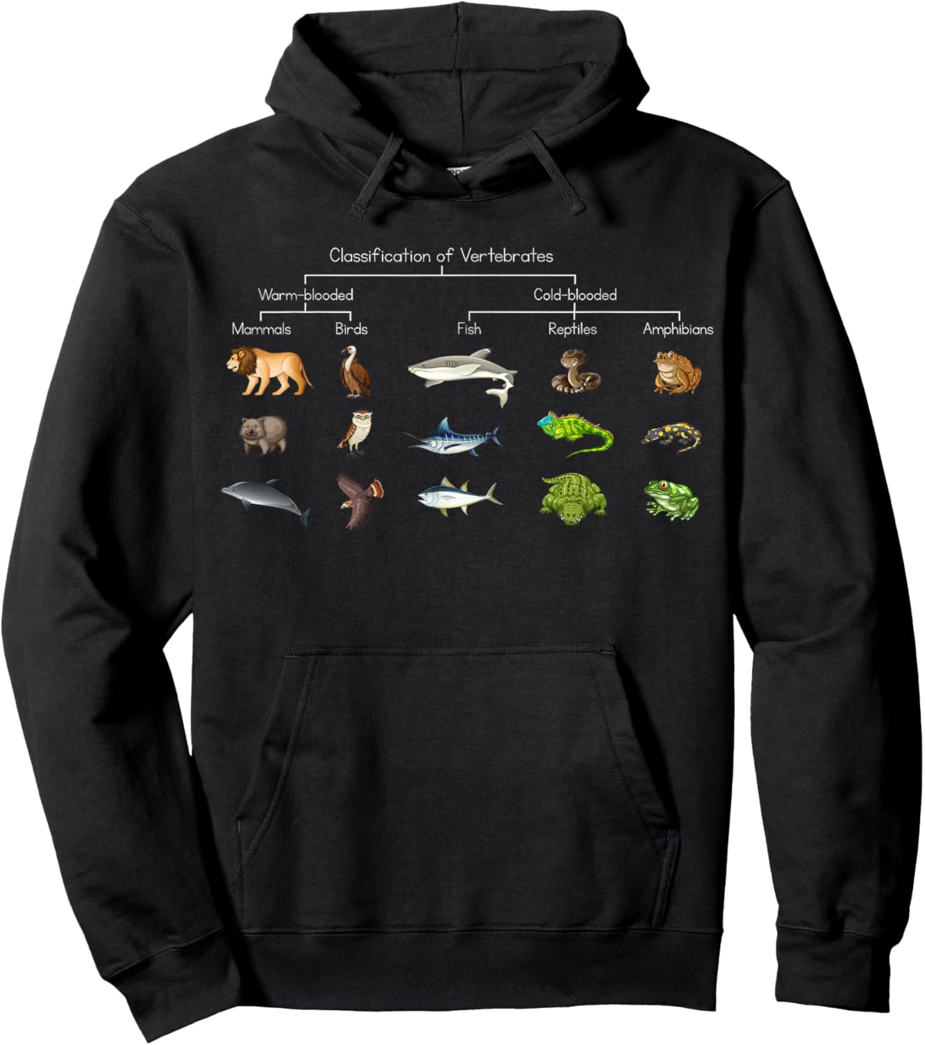 Diagram showing Classification of Vertebrates lover animals Hoodie - Hoodie | Black
