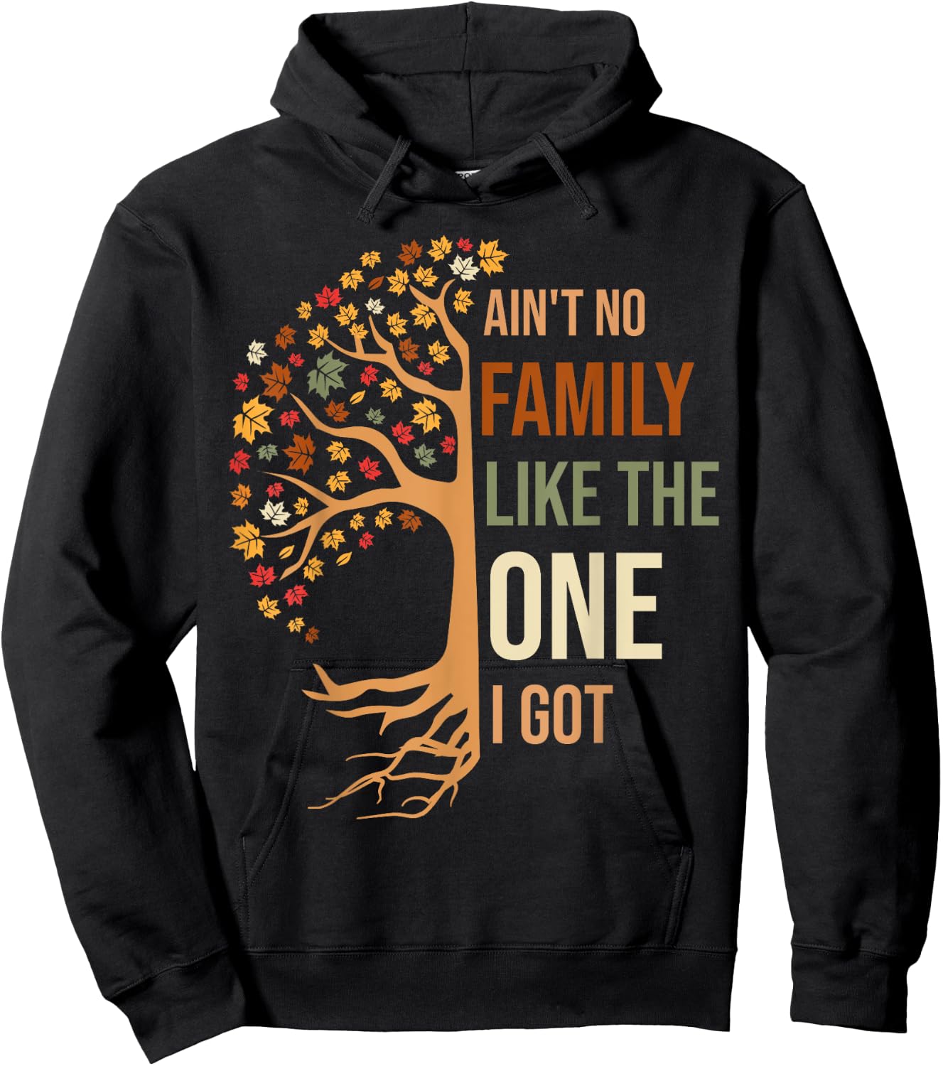 Ain't No Family Like The One I Got Funny Family Reunion 2024 Hoodie - Hoodie | Black