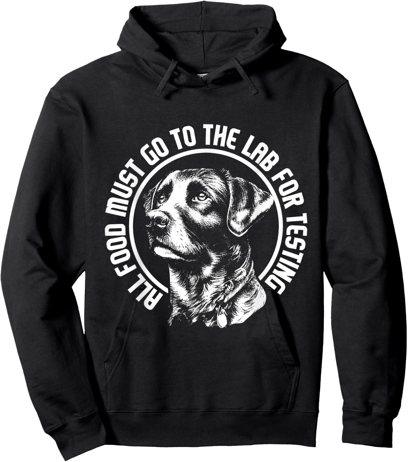 Celebrate Diversity - Labrador Owner Dog Lover Pet Lover Hoodie - Hoodie | Black