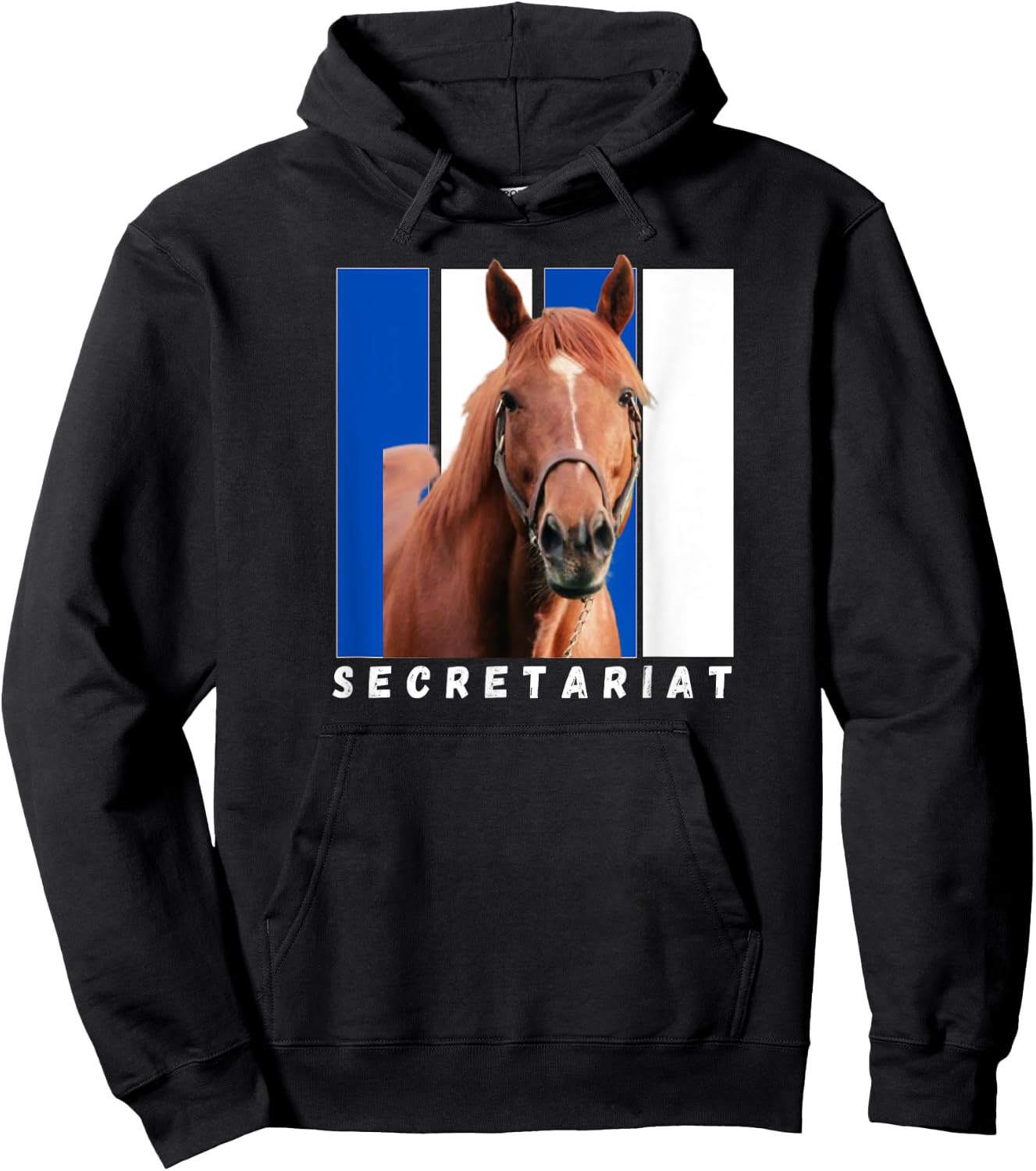Secretariat Horse, Horse Racing Shirt, Del Mar, Santa Anita Hoodie - Hoodie | Black