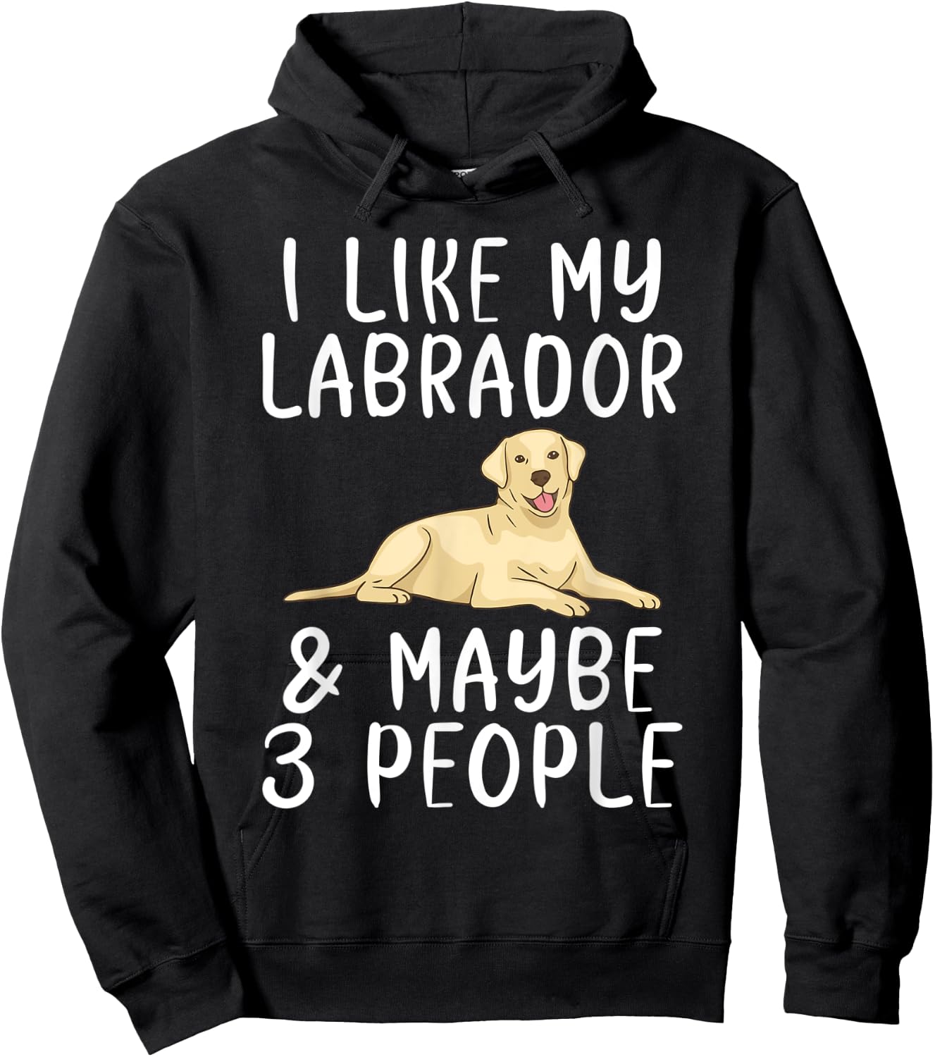 Lab Retriever I like my Labrador and maybe 3 People Labrador Hoodie - Hoodie | Black