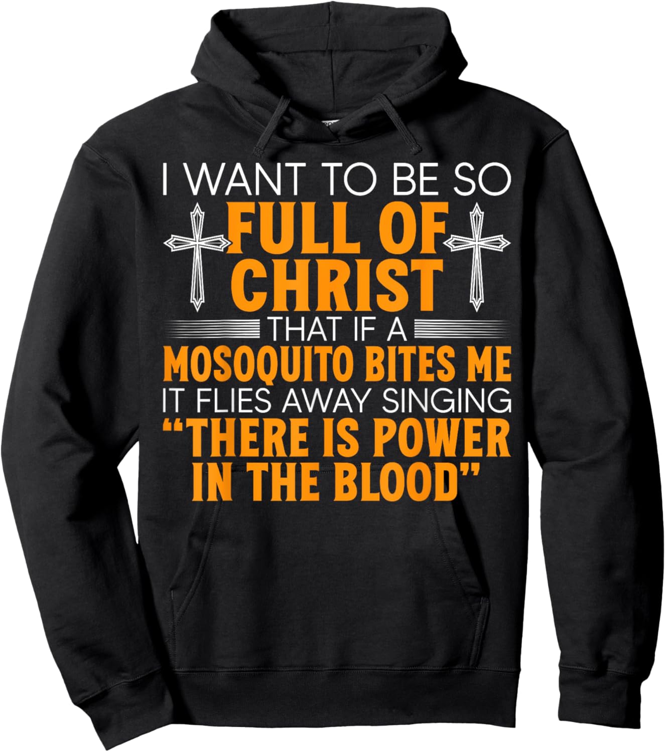 I Want To Be So Full Of Christ That If A Mosquito Bites Me Hoodie - Hoodie | Black
