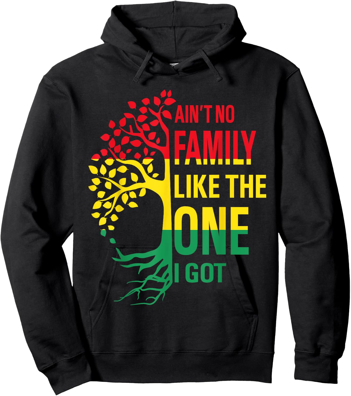 Ain't No Family Like The One I Got Funny Family Reunion 2025 Hoodie - Hoodie | Black