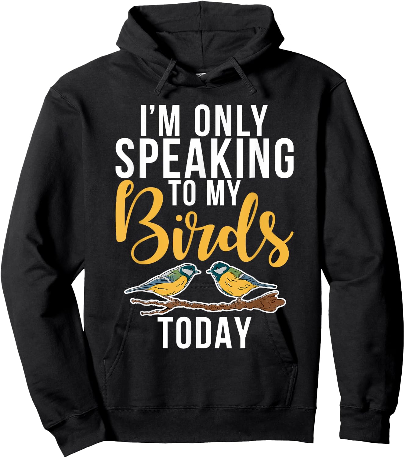 Im only speaking to my Birds today Bird Lover Hoodie - Hoodie | Black