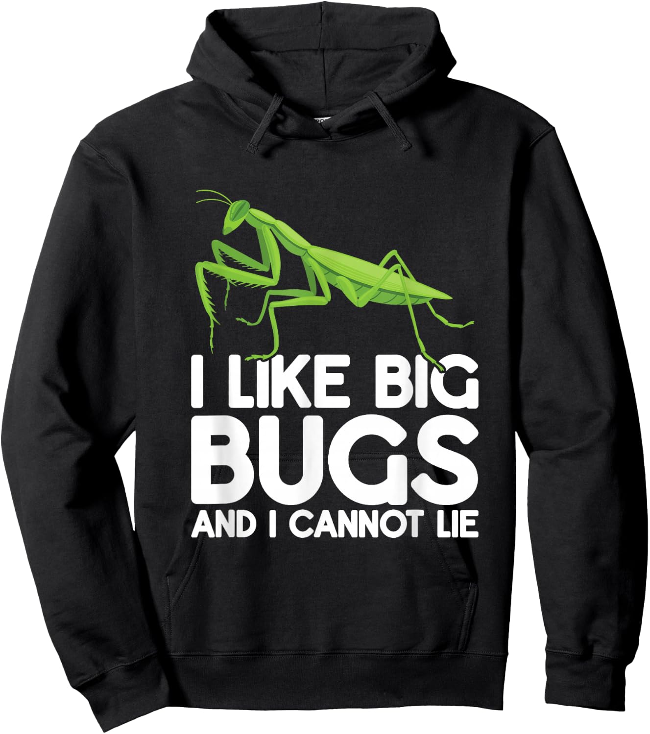 Praying Mantis Insects Bug Love Praying Mantis Retro Hoodie - Hoodie | Black