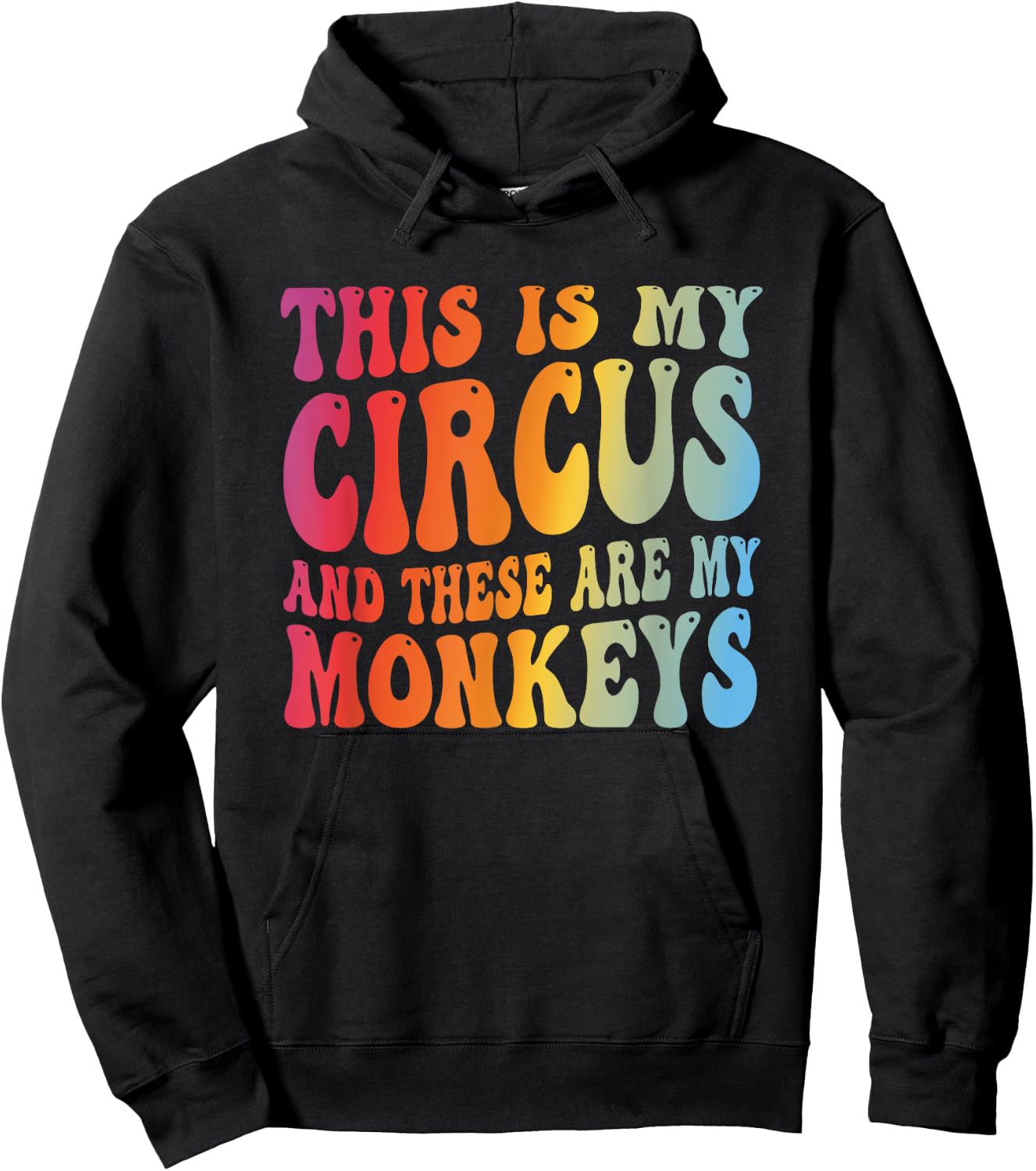 Funny Teacher This Is My Circus And These Are My Monkeys Hoodie - Hoodie | Black