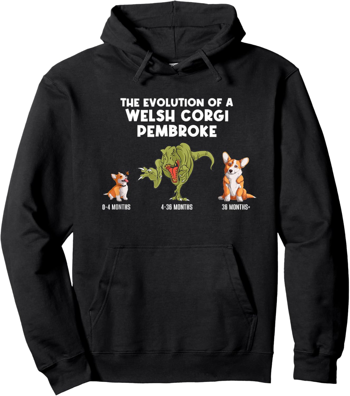 The Evolution Of A Welsh Corgi Pembroke Funny Corgi Hoodie - Hoodie | Black