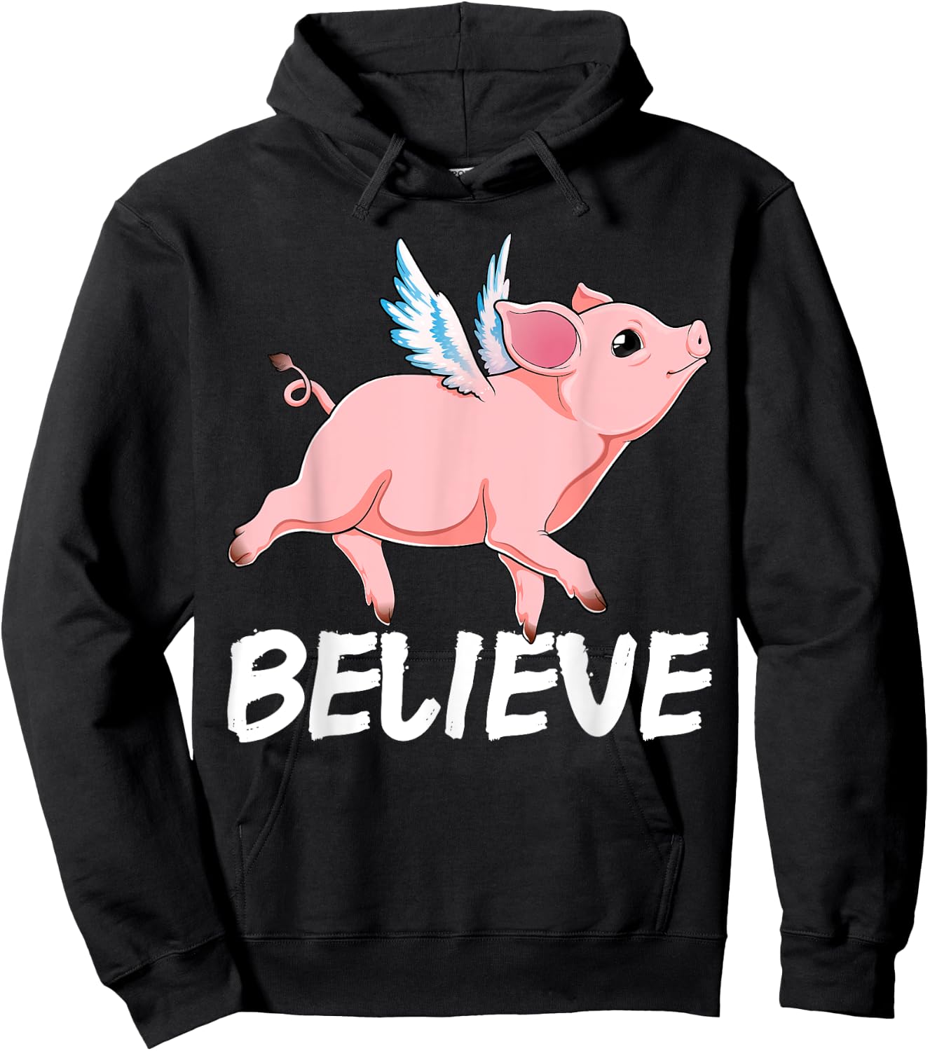Flying Pig Believe Pigs Fly Believe Idiom Motivational Hoodie - Hoodie | Black
