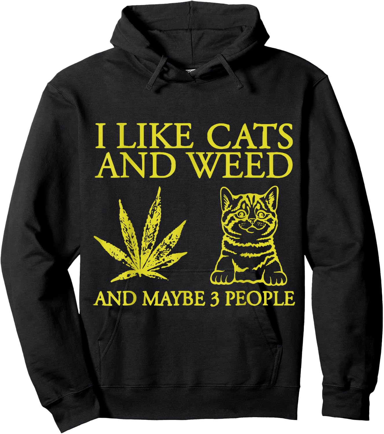 I Like Cats And Weed And Maybe 3 People Funny Cat Lover Hoodie - Hoodie | Black