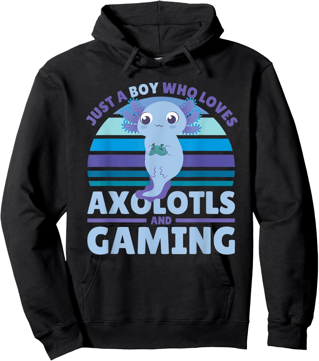 Just A Boy Who Loves Axolotls And Gaming Hoodie - Hoodie | Black