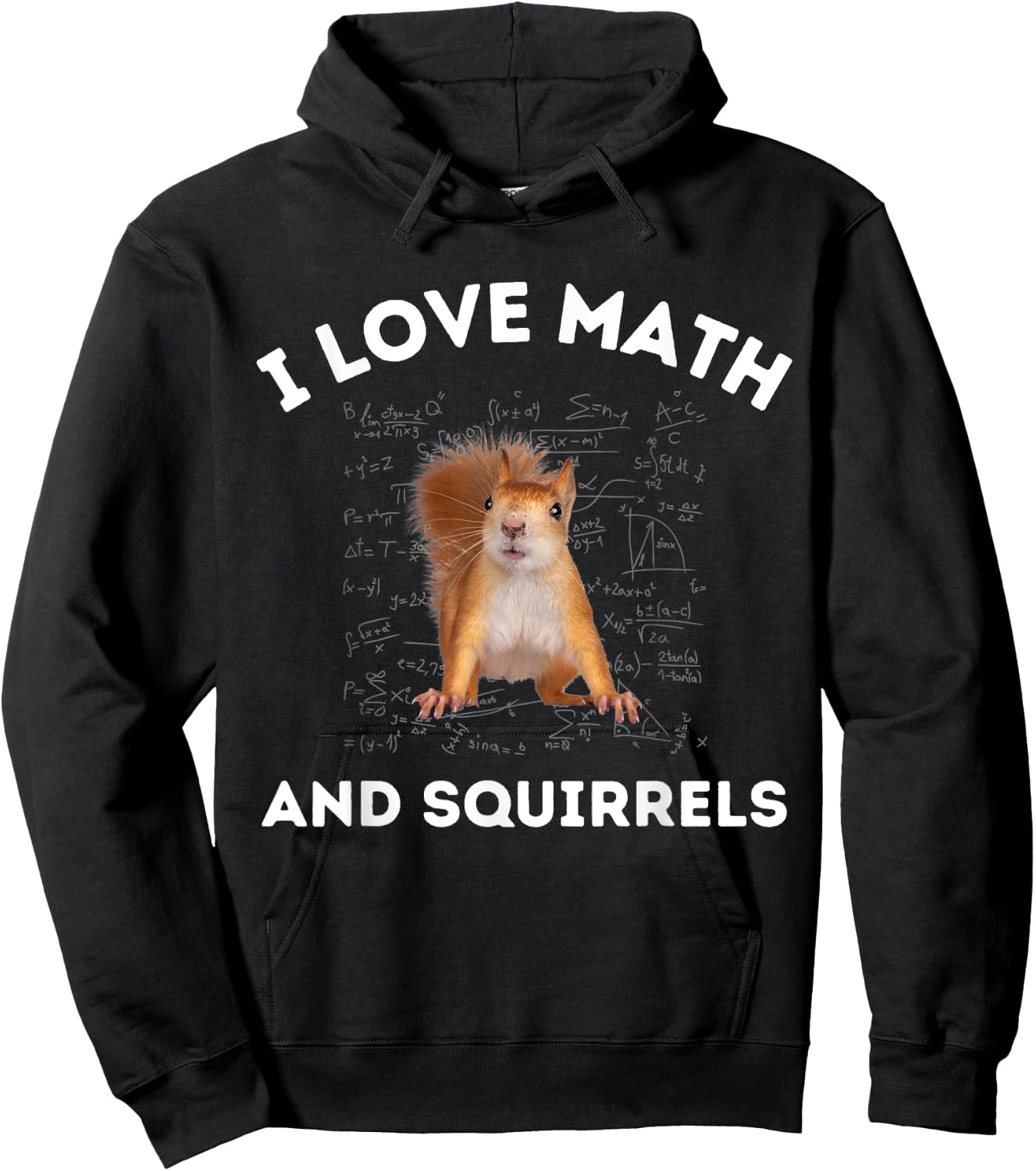 I Love Math and Squirrels Squirrel Lover Algebra Teacher Women Kids Hoodie - Hoodie | Black