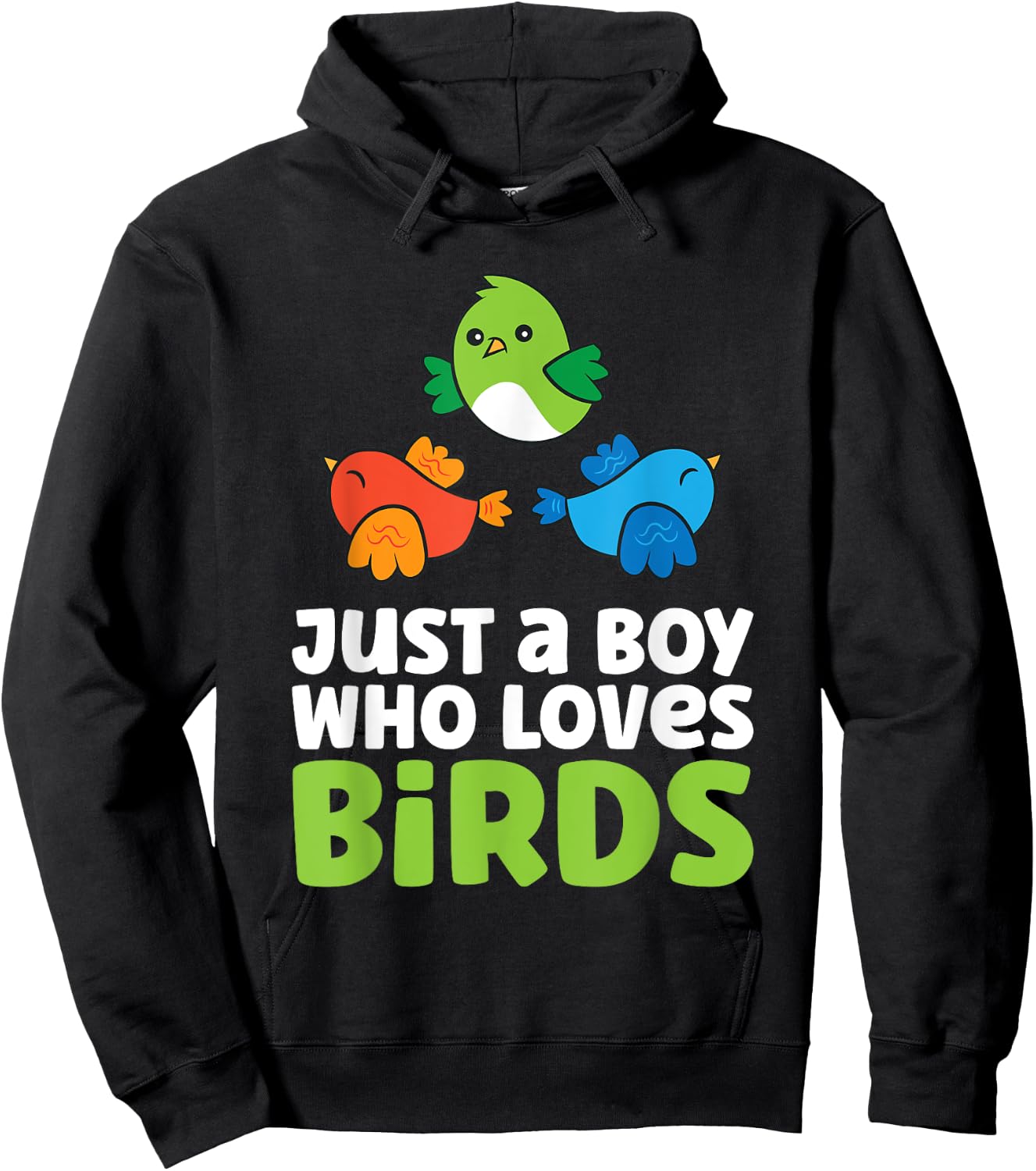 Just a Boy Who Loves Birds Hoodie - Hoodie | Black