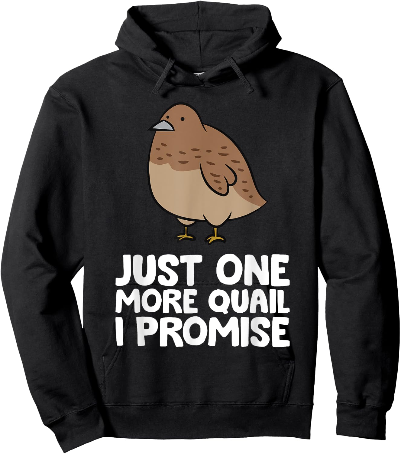 Just One More Quail I Promise Funny Quail Breeder Hoodie - Hoodie | Black