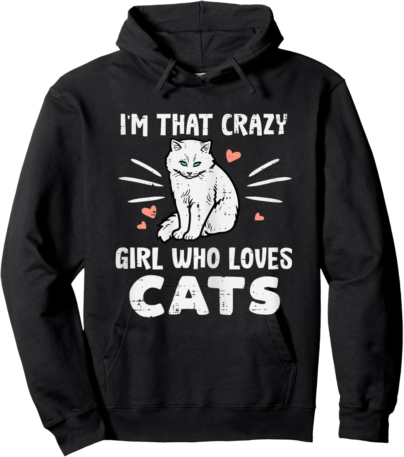 Im Crazy Girl Who Loves Cats Funny Women Girls Teens Youth Hoodie - Hoodie | Black