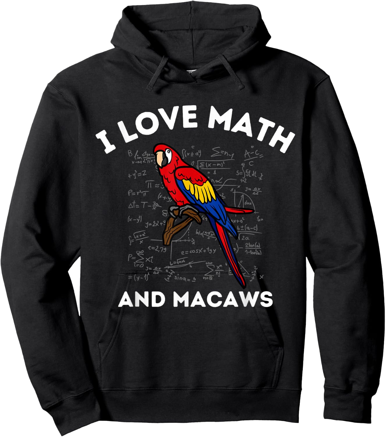 I Love Math and Macaws Parrot Lover Owner Algebra Teacher Hoodie - Hoodie | Black