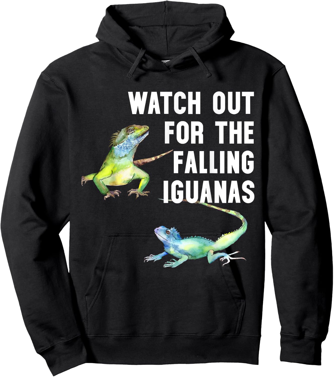 Watch Out for the Falling Iguanas Shirt,Funny Falling Iguana Hoodie - Hoodie | Black