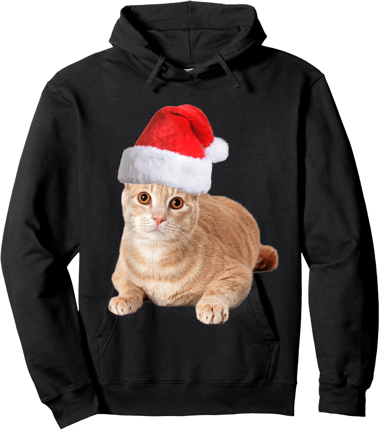 Orange Tabby Cat With Christmas Santa Hat Men Hoodie - Hoodie | Black