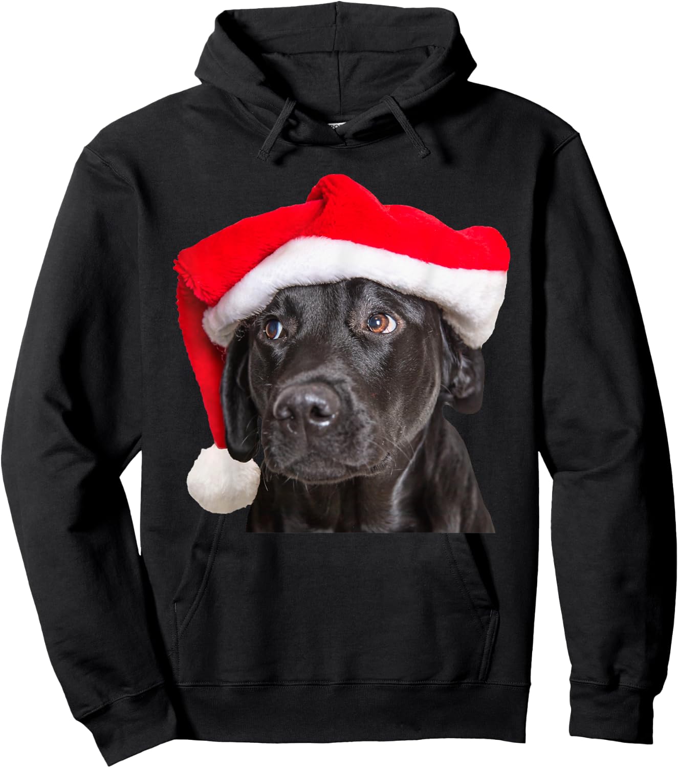 Cute Black Lab Santa Hat Christmas Dog Labrador Retriever Women Kids Hoodie - Hoodie | Black