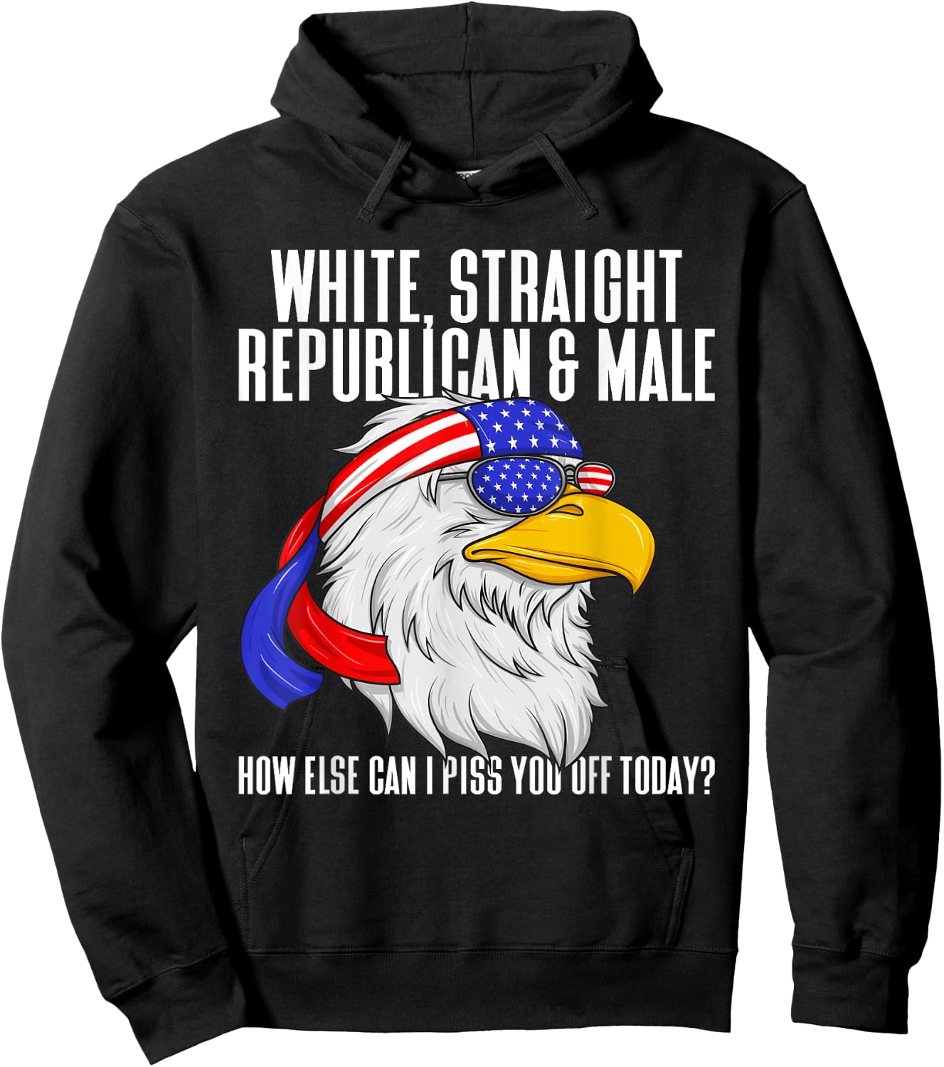 White Straight Republican Male How Can I Piss You Off Today Hoodie - Hoodie | Black