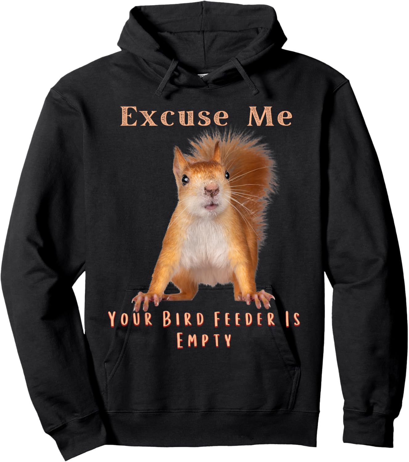 Funny Squirrel Excuse Me Your Bird Feeder Is Empty Hoodie - Hoodie | Black