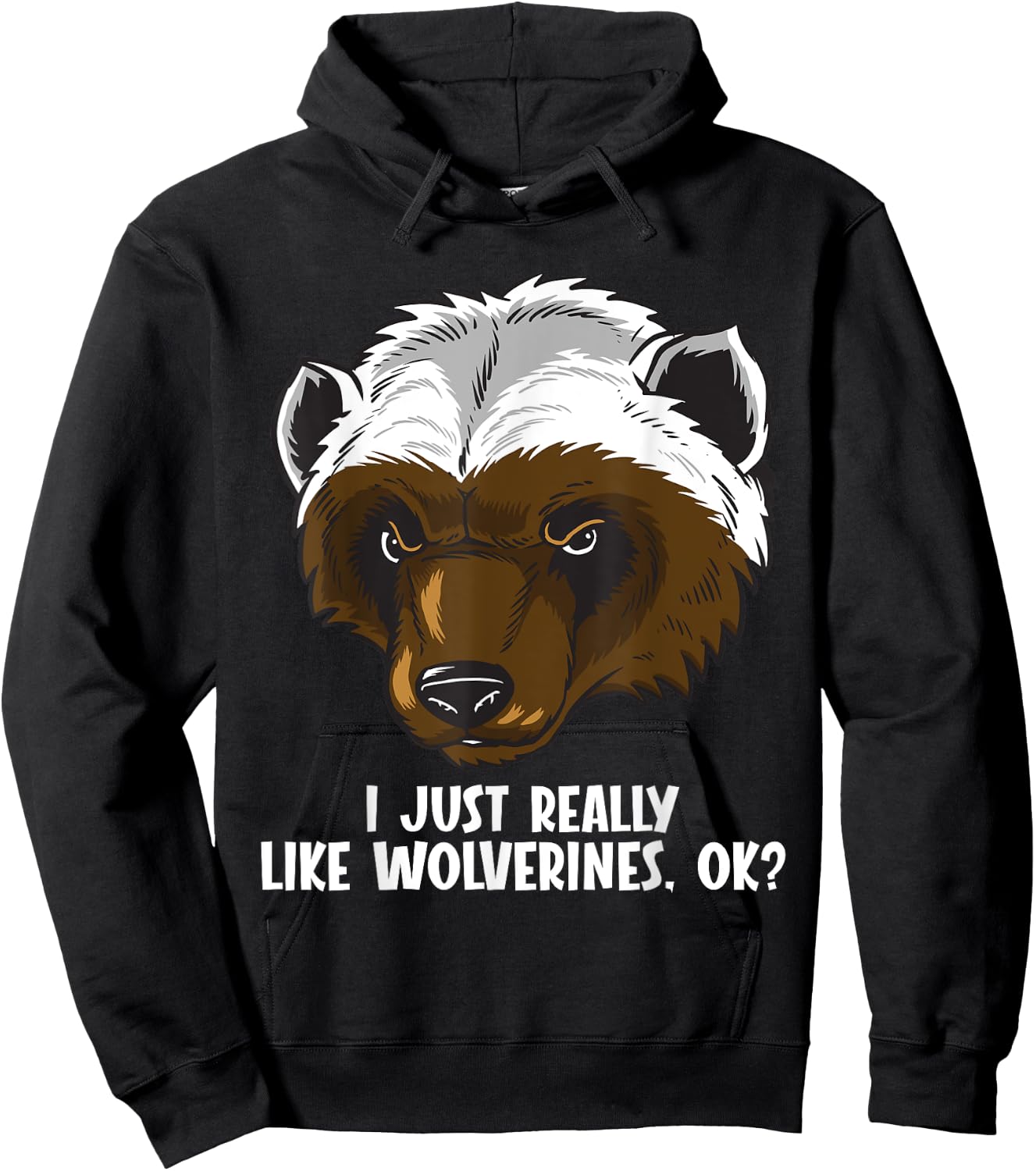 I just really like Wolverines Wolverine Hoodie - Hoodie | Black