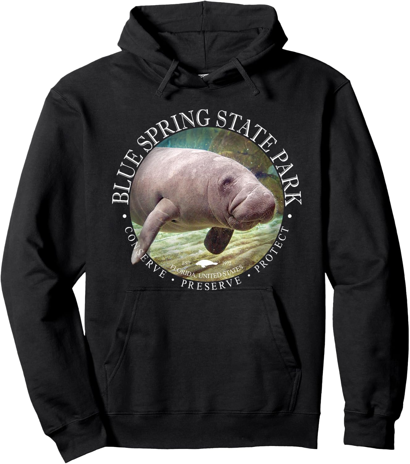 Blue Spring State Park Orange City Florida Manatee Sea Cow Hoodie - Hoodie | Black