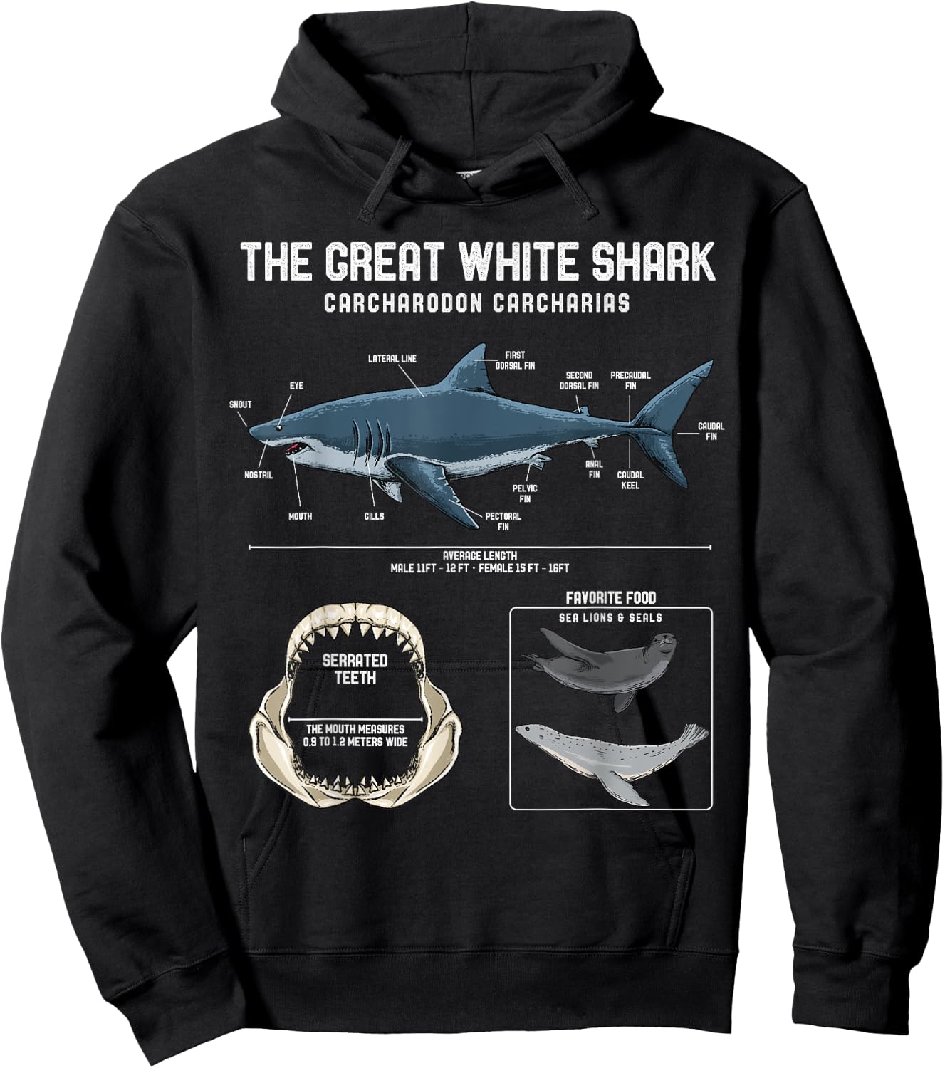 Great White Shark Anatomy Shirt - Shark Marine Biologist Hoodie - Hoodie | Black