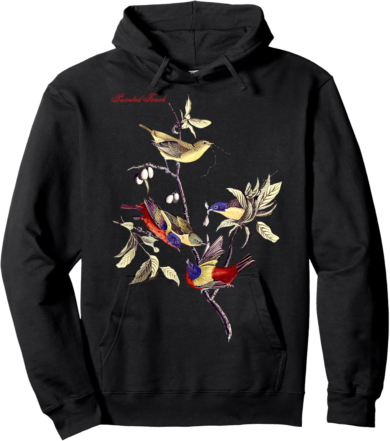 Audubon Painted Finch North American Birds Education Nature Hoodie - Hoodie | Black