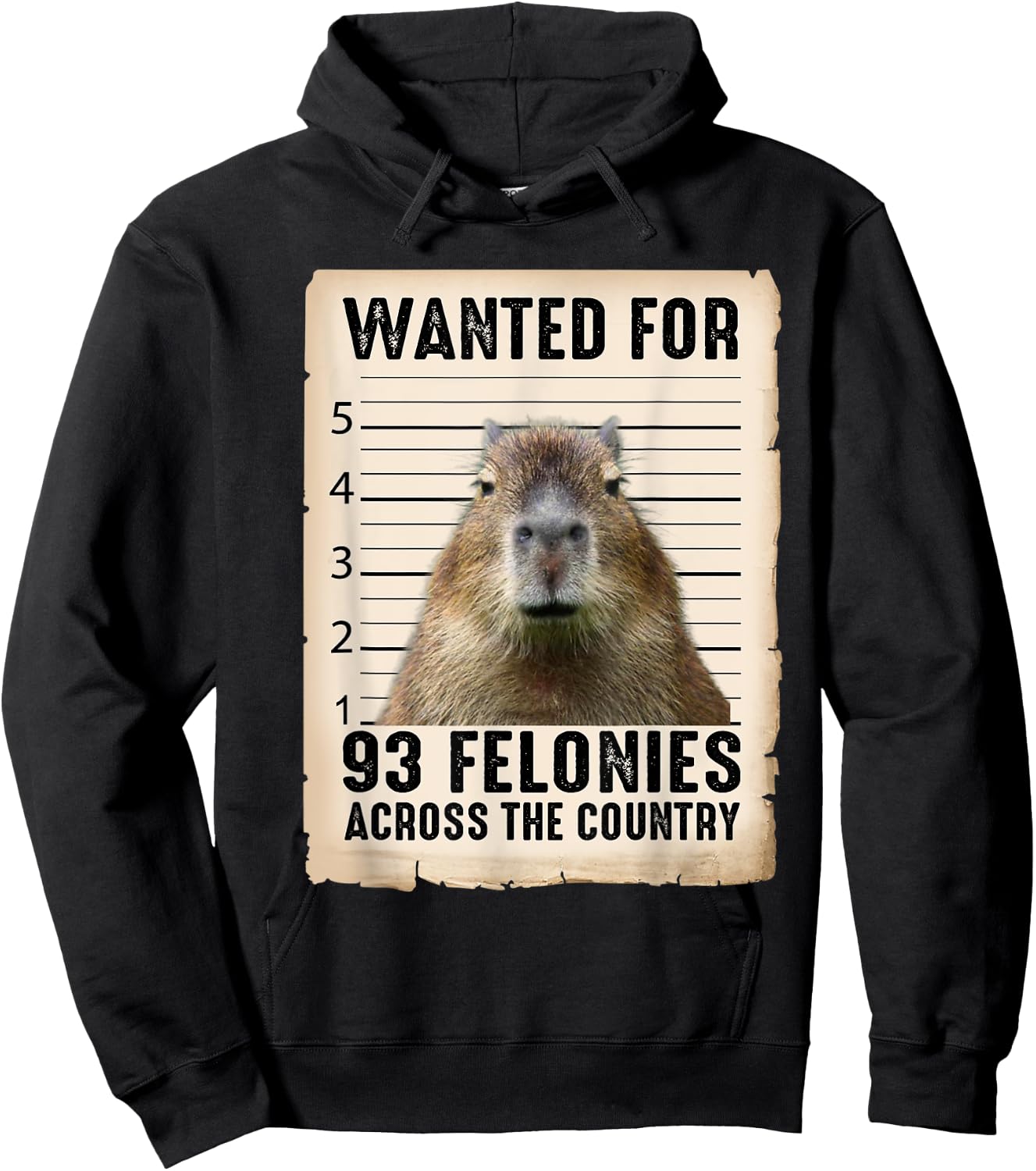 Capybara Gifts Wanted For 93 Felonies Across The Country Hoodie - Hoodie | Black