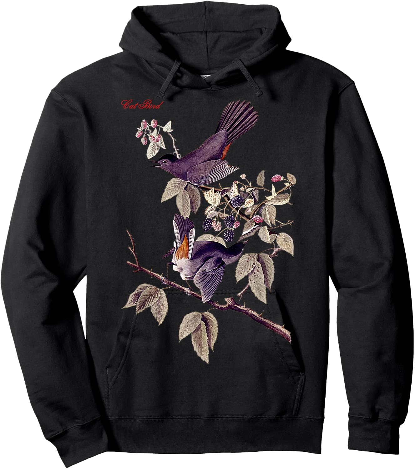 Audubon Cat Bird North American Birds Education Nature Hoodie - Hoodie | Black