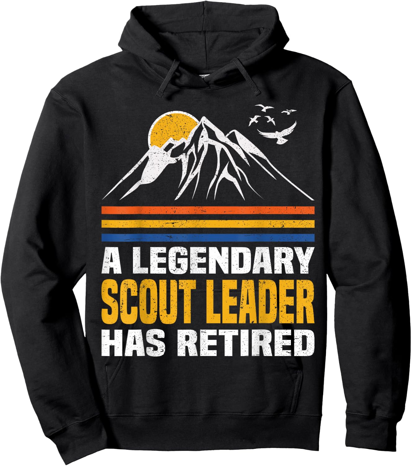 A Legendary Scout Leader Has Retired Scout Leader Hoodie - Hoodie | Black