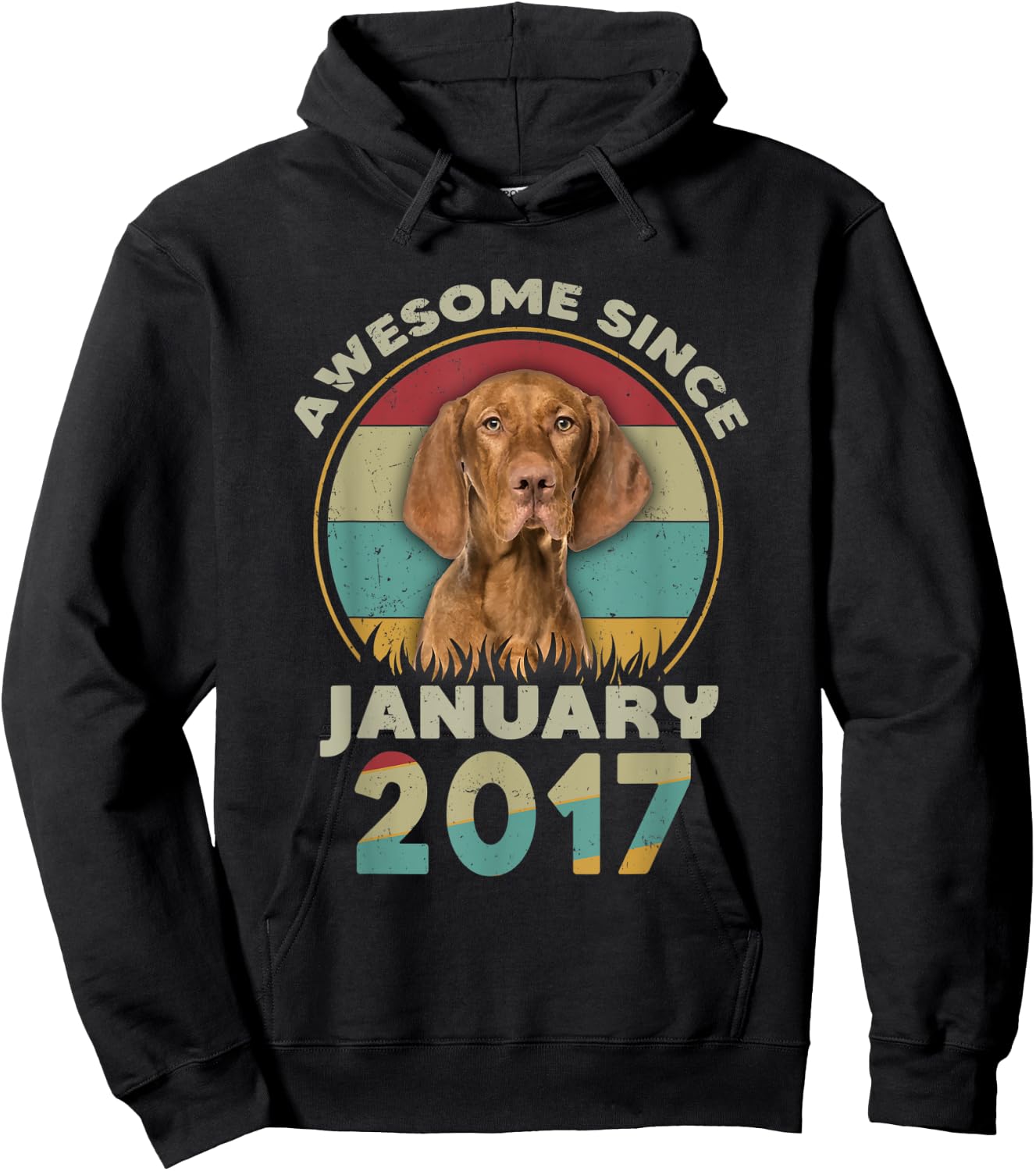 Awesome Since January 2017 5nd Birthday Gifts Dog Lovers Hoodie - Hoodie | Black