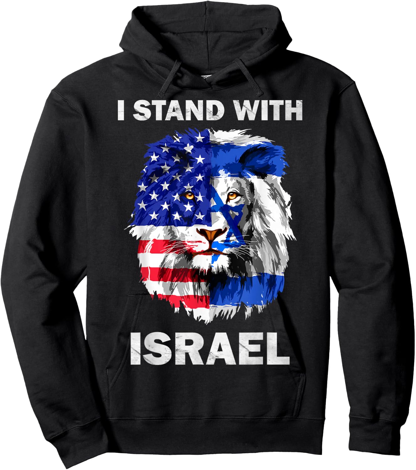 Israel and USA Flag Lion | I Stand with Israel Hoodie - Hoodie | Black