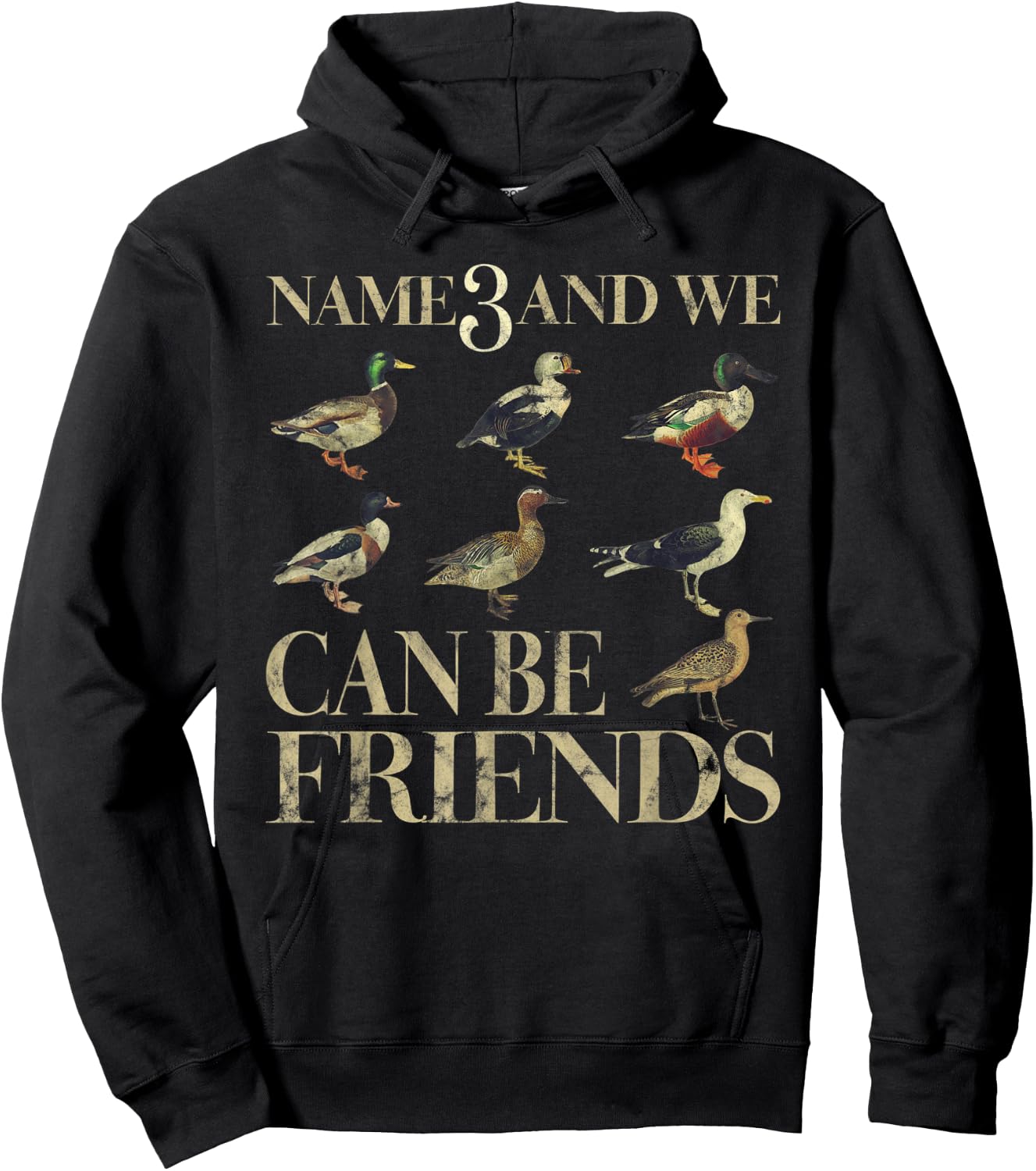 Name 3 And We Can Be Friends Funny Duck Hoodie - Hoodie | Black