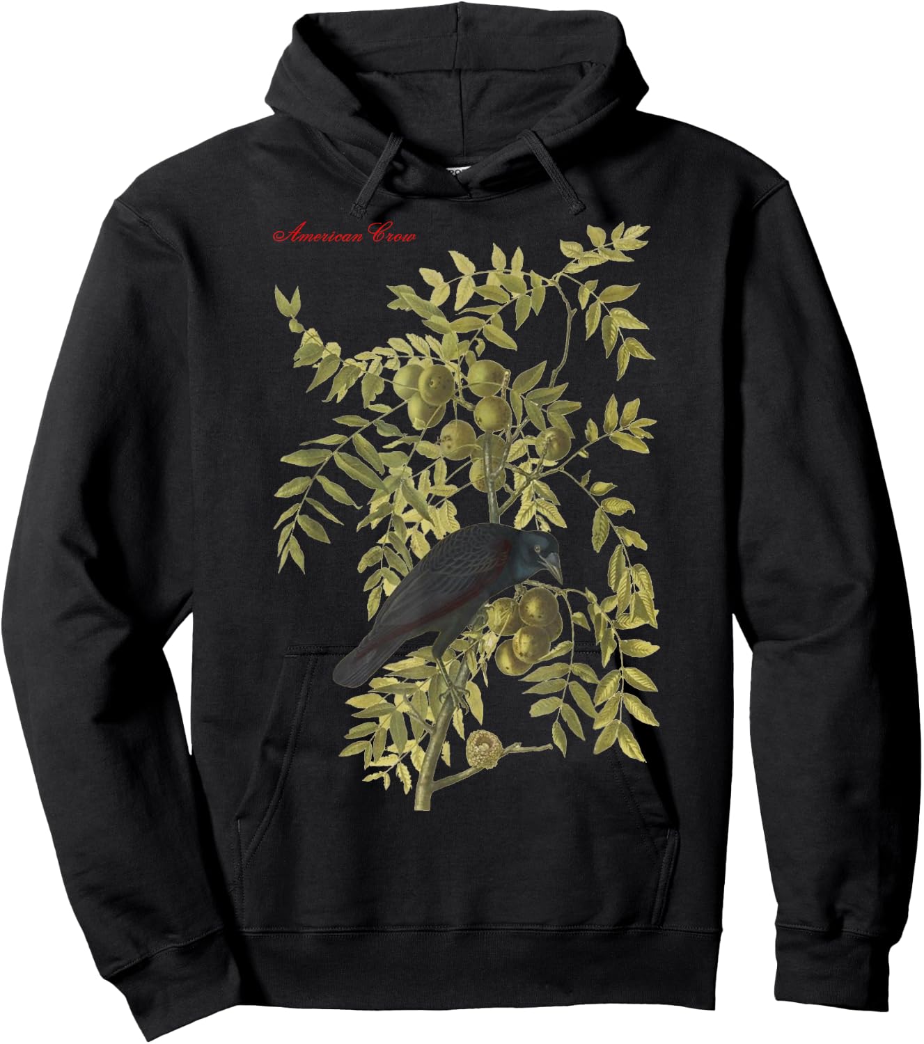 Audubon American Crow Education Nature Hoodie - Hoodie | Black