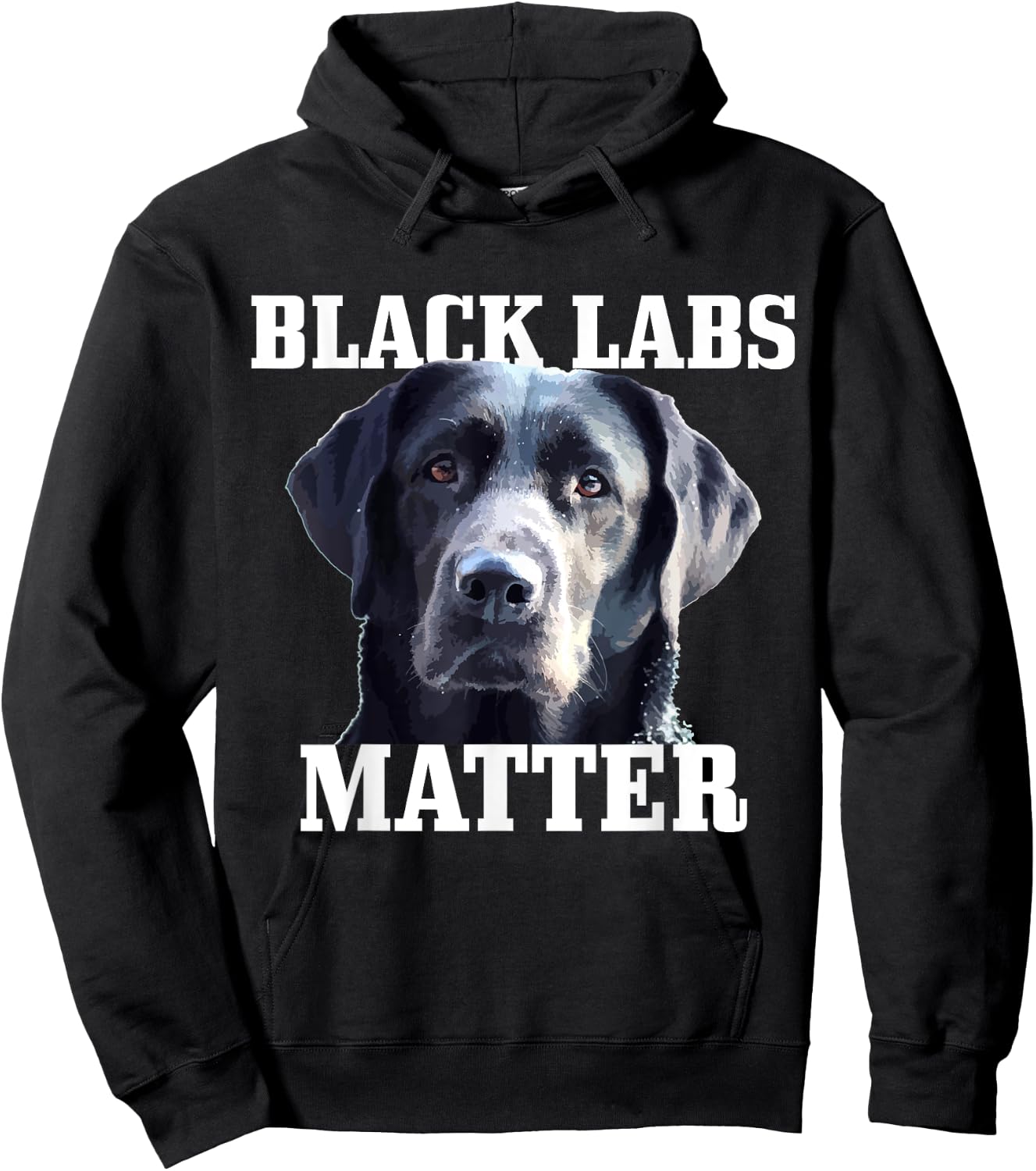 Black Labs Matter Labrador Retriever Mom Dad Dog Lover Funny Men Women Kids Hoodie - Hoodie | Black