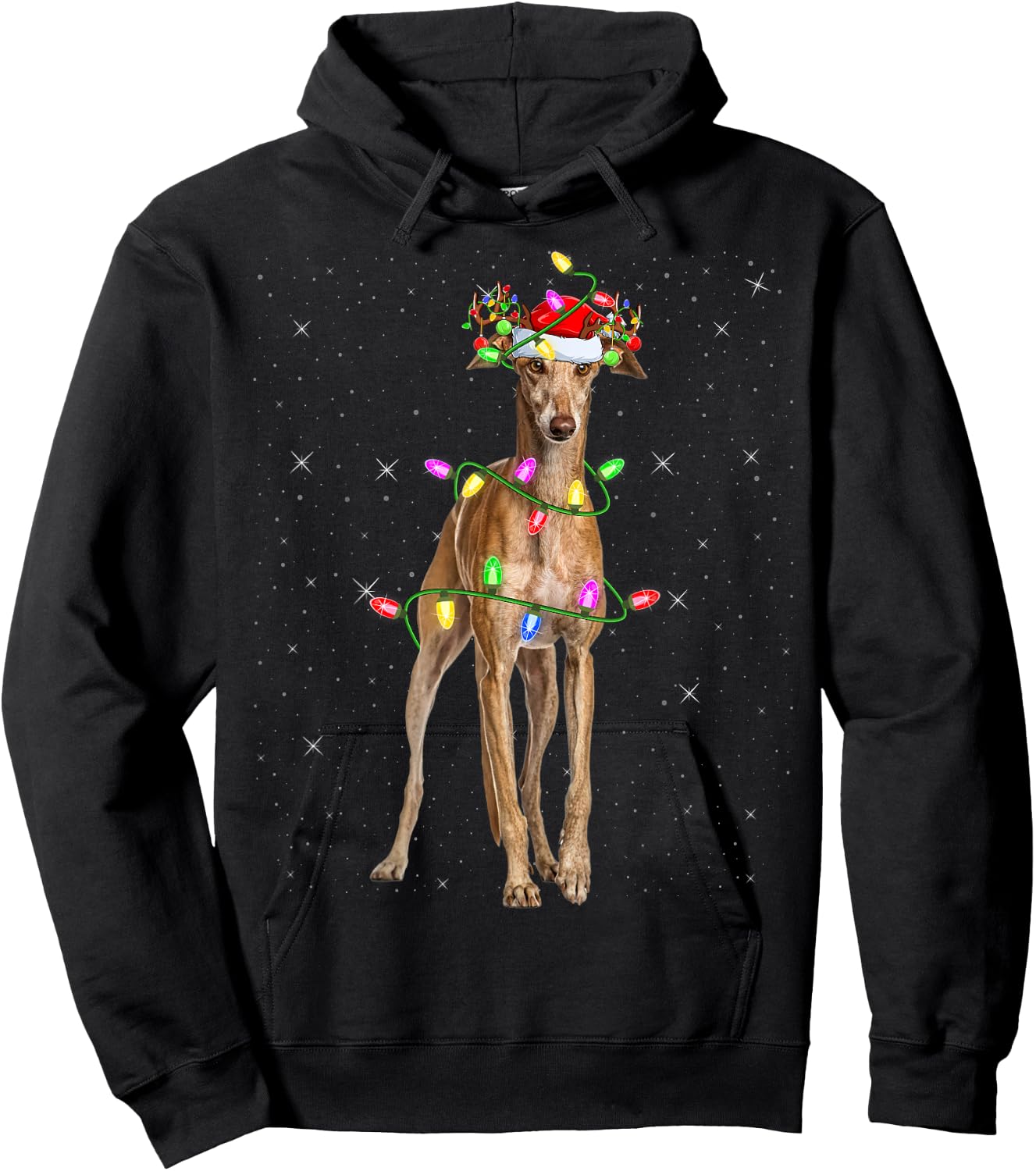 Greyhound Dog Lover Xmas Lighting Santa Greyhound Christmas Women Kids Hoodie - Hoodie | Black