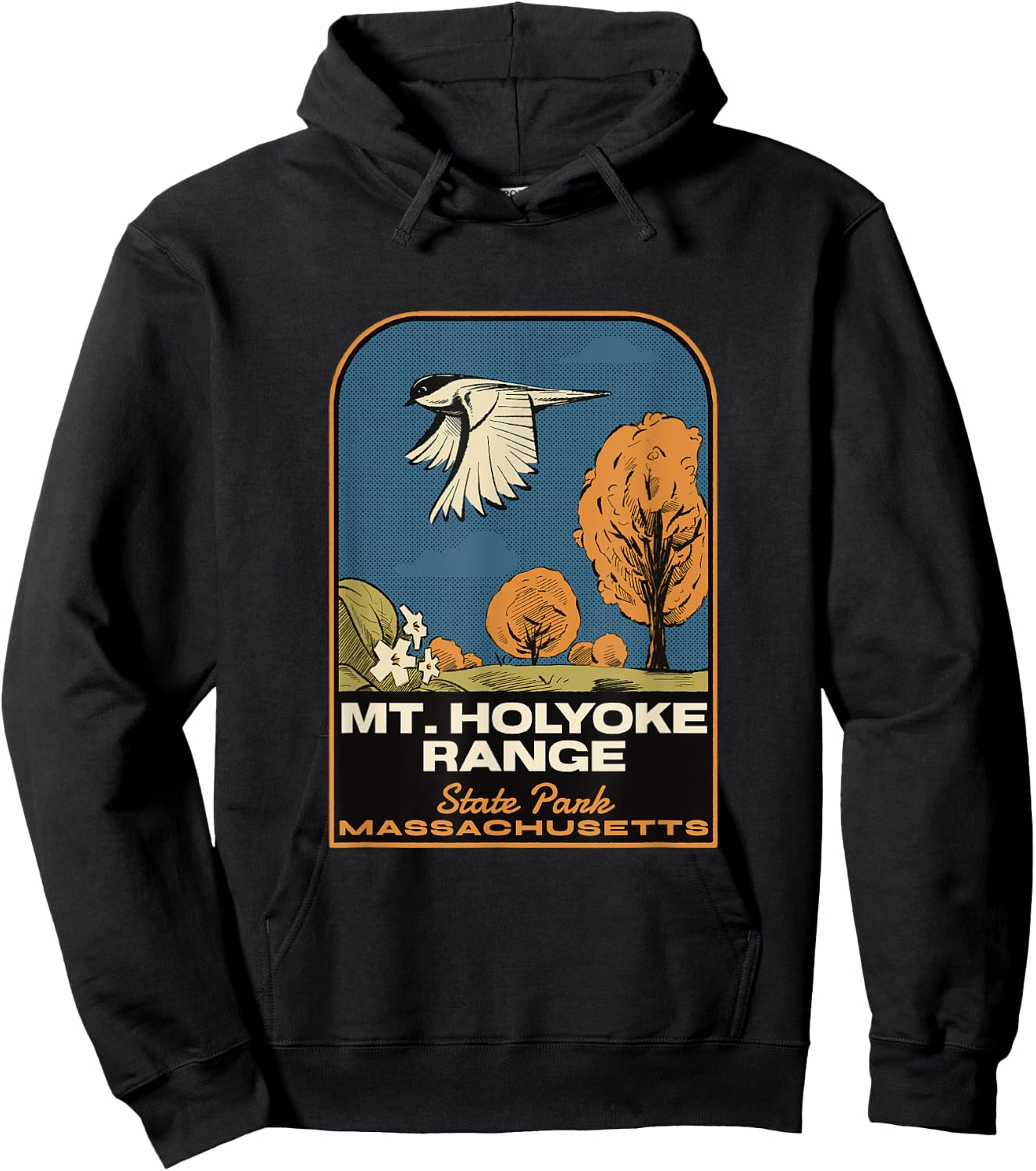 Mount Holyoke Range State Park MA Vintage Hoodie - Hoodie | Black